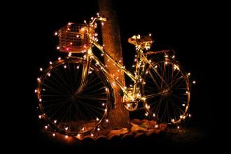 Salida 29 Diciembre 2018